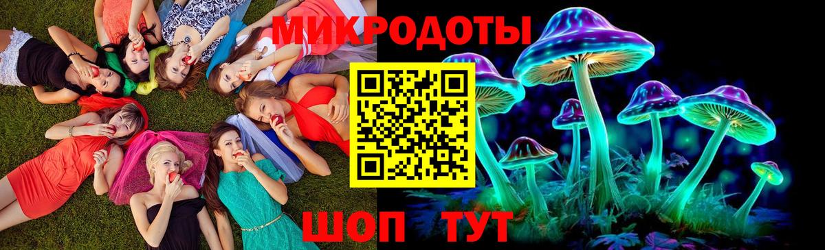 Саяногорск  Псилоцибиновые грибы мухоморы  Псилоцибиновые грибы мицелий  Вход с VPN 